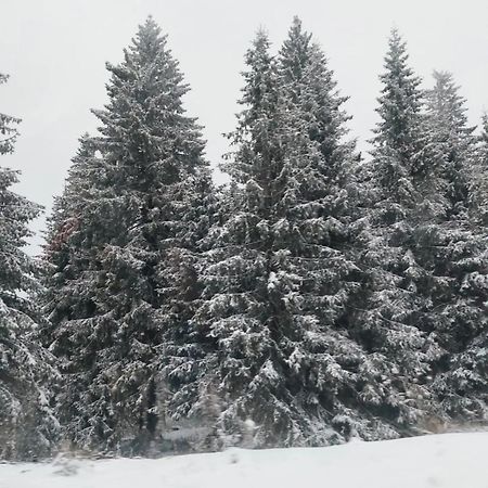 Apartmani Sorak Kopaonik, Studio Apartman A10 Luaran gambar
