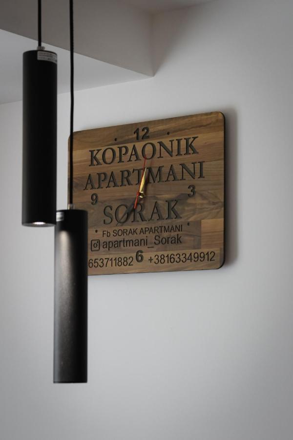 Apartmani Sorak Kopaonik, Studio Apartman A10 Luaran gambar